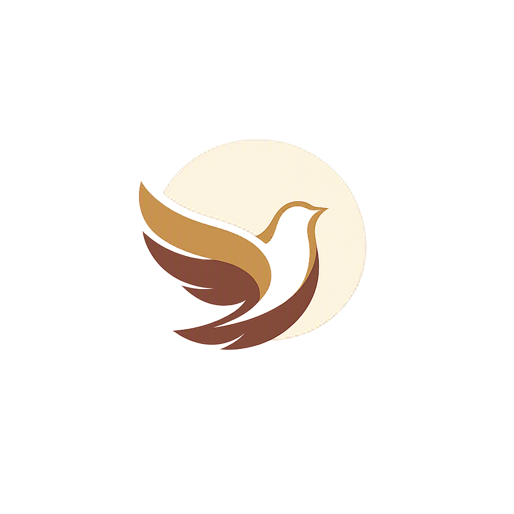 安存数字